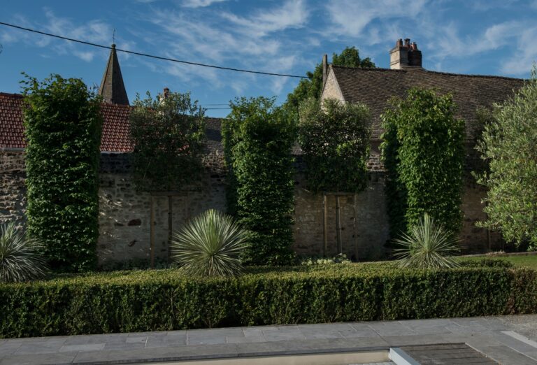 Entretien d'un domaine avec formes rectangulaires et rondes