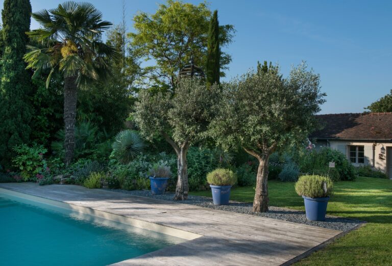 Jardin entretenu avec piscine