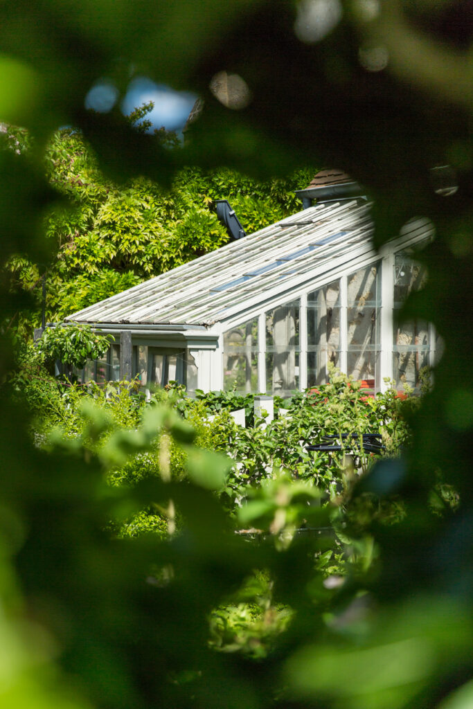 Serre vue à travers le feuillage
