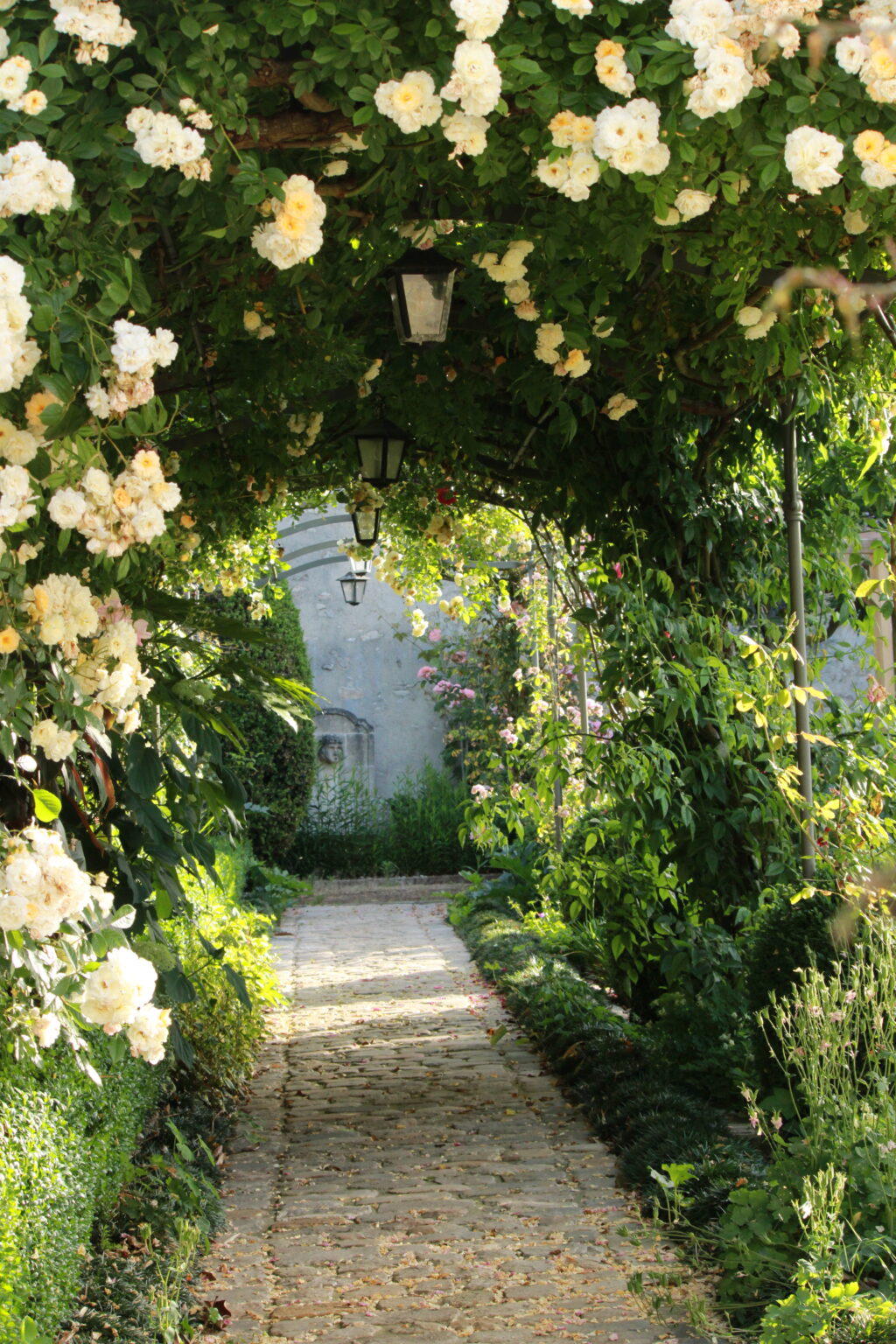 Roseraie et allée sous une arche de roses