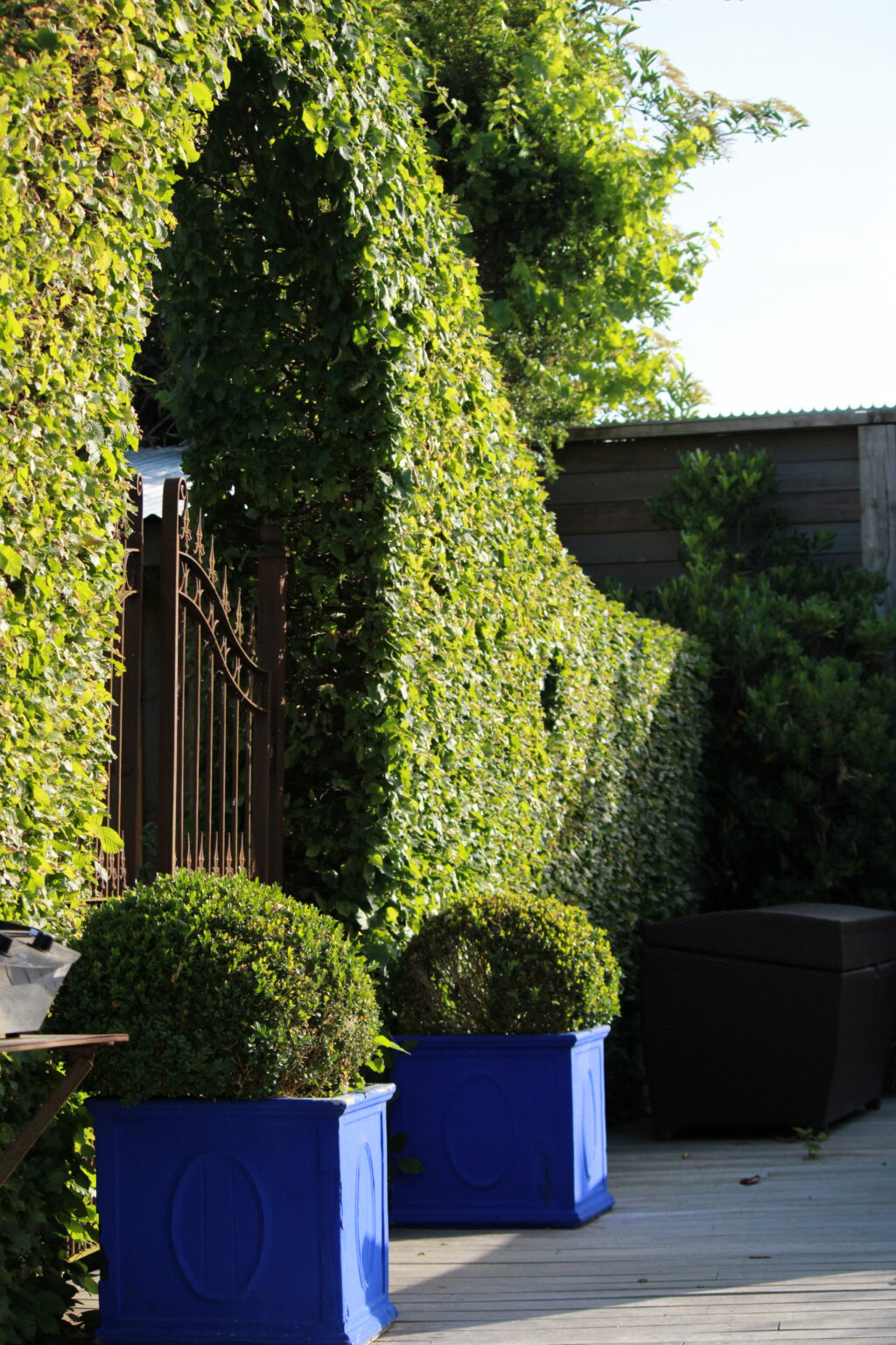Arche de topiaires et pots bleus