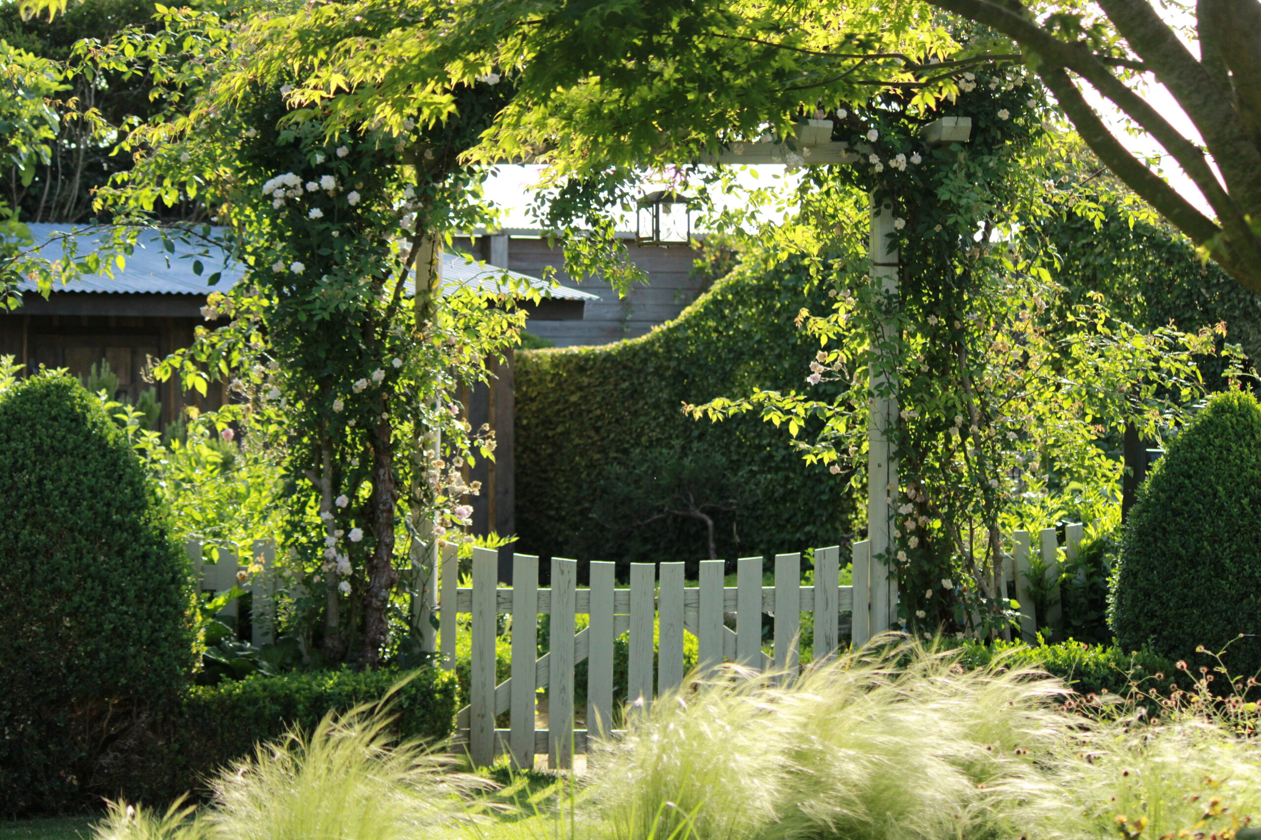 Pergola et clôture